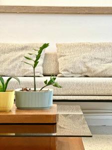 96 Sqm last floor shared apartment