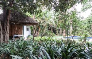 Garden Cottage in Richmond nr Melville