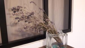 Studio Trocadero 2p coté jardin