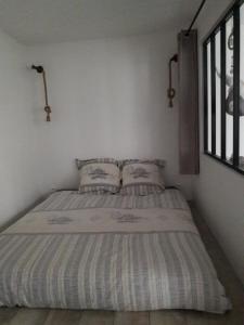 Studio Trocadero 2p coté jardin