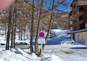 La Foux dAllos joli studio familial 2-4 pers, ski et randonnées