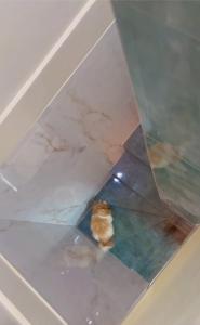 Casa em gravata 4 quartos área gourmet completa