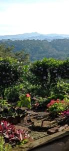 Matagalpa 4 Bed House Land of Dreams-La Tierra