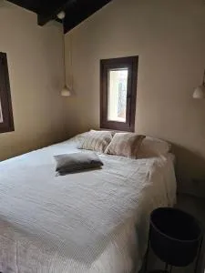 Tiny Cottage lemons & pies - 普萨索皮尔戈斯