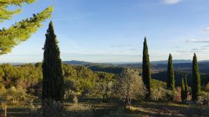 Villas Les jardins de Saint Blaise : photos des chambres