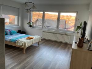 Zaciszny zakątek pod Różą