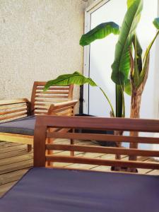 Appartements Le gite d-Arsene avec terrasse et garage en option a 200 m de la plage : photos des chambres
