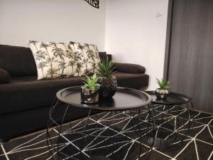 Appartements Le Parmentier - Charmant T2 : photos des chambres
