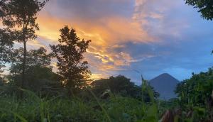 Dragons Garden Dormitorio