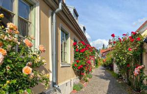 Awesome Apartment In Visby With Wifi