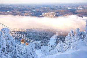 Ski-In Adjacent 200m - 3BR - Free Shuttle - Sleeps 8