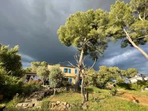 Grand T2 sous les pins - Pourcieux