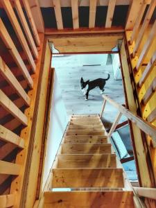 La Bergerie des Volcans - DogFriendly