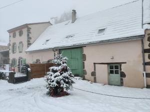 Maisons de vacances La Bergerie des Volcans - DogFriendly : photos des chambres