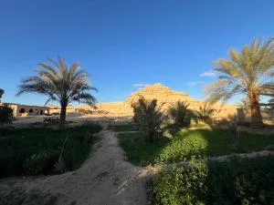 Eeri Siwa Oasis - siwa oasis