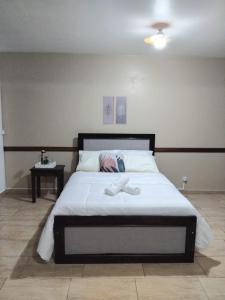 Estúdio Trem do Botânico