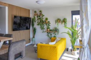 Apartments "CALMA" with Private Pool - Suitable for Groups of People