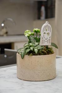 Cozy apartment in durres near sea and city center