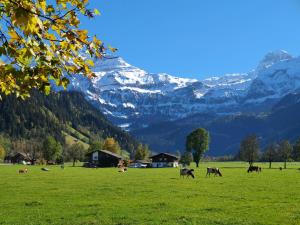 Burgbühler Guesthouse