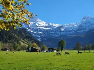 Burgbühler Guesthouse - Zweisimmen