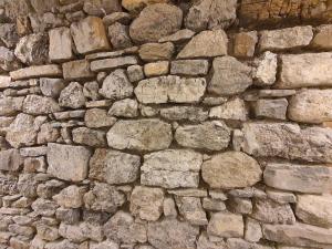 Burgbühler Guesthouse