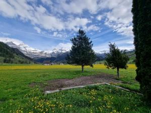 Burgbühler Guesthouse