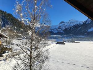 Burgbühler Guesthouse