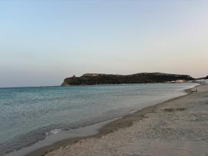 Luxory apartment in center img34