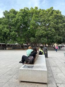 Luxory apartment in center img36