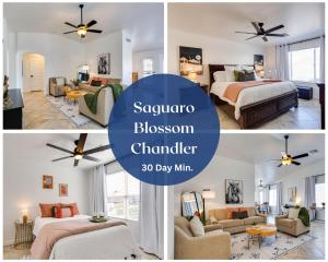 Torrey Pines Chandler - Ubytování bez kategorie ve městě Sun Lakes