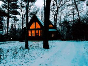 Aframe Lake Hottub, shared pet friendly low fee