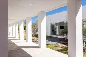 Camino de Olivos - Desayuno Incluido, Amplio Estacionamiento y AC