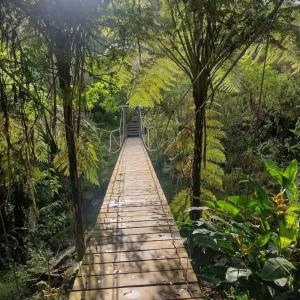 Casa Calandria - Vive Jardin