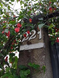 Cantinho da esperança