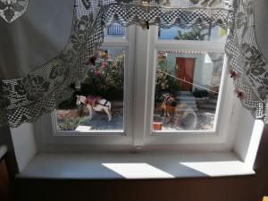 Tsitsinakis Traditional Home