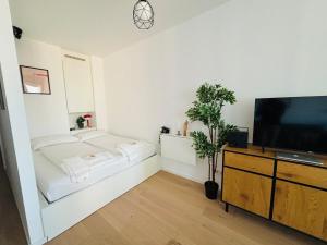 Modern apartment overlooking the skyline & Danube