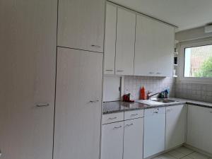 Charming & Bright Apartment with Chimney, Balcony & Workspace near Lake Zurich