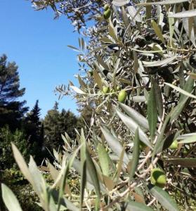 LES RESTANQUES Villa avec piscine
