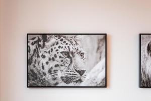 Masingita Towers Sandton - Luxurious Apartment Condo - 9th Floor