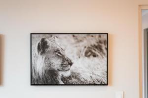 Masingita Towers Sandton - Luxurious Apartment Condo - 9th Floor