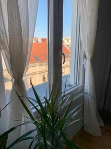 City Centre Apartment 3