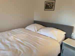 FeWo Berg-Domizil Altenau inklusive Bettwäsche und Handtüchern