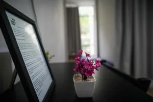 Ap Ilha tour - Flamengo - Laranjeiras