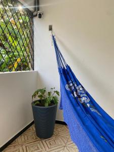 Casa na Serra de Martins