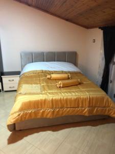 Bar Kafe Pjetri Guest House