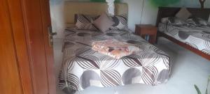 White Arcadia cottage