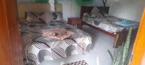 White Arcadia cottage