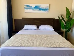 Departamento en Chillán centro - piso 19 - Chillán