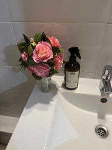 departamento en osorno