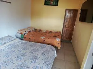 Hostal delfin - San Clemente